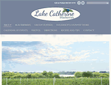 Tablet Screenshot of lakecatherineblueberries.com